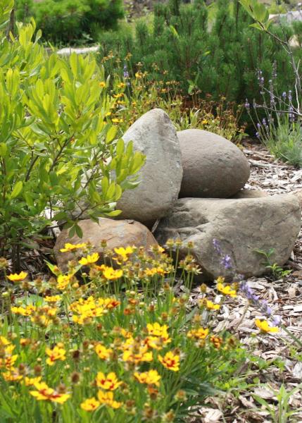 Design by Plants