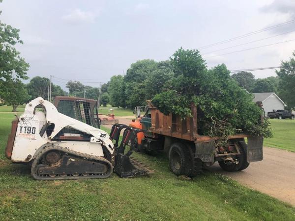 Cleveland TN Tree Pro