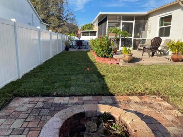 Tampa Lawn Sharks