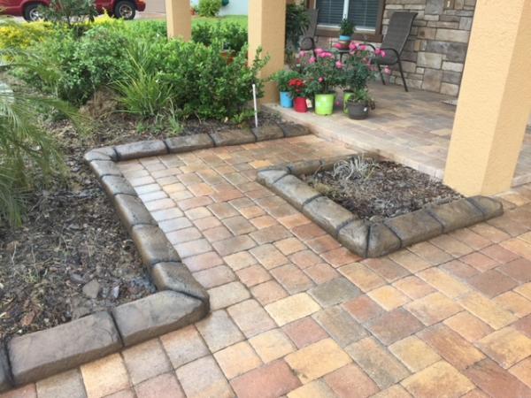 Tampa Lawn Sharks
