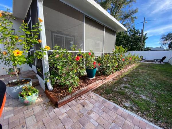 Tampa Lawn Sharks