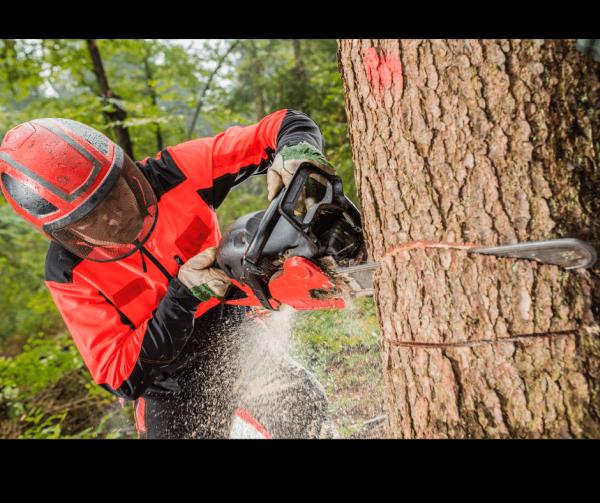 Smithfield Tree Service