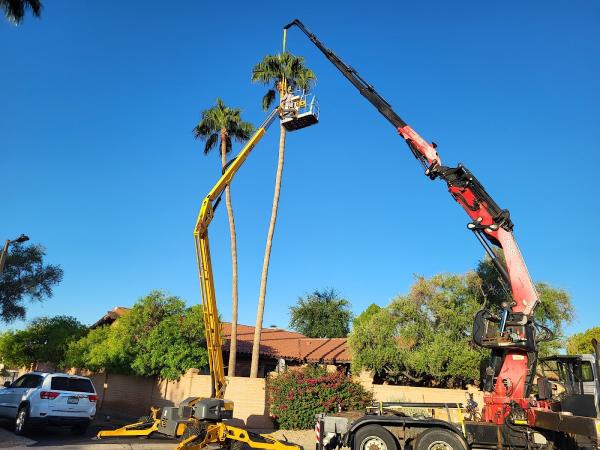 New Heights Tree Service LLC