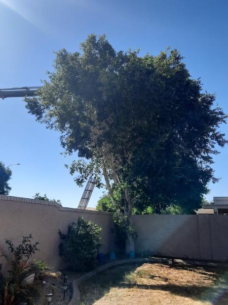 New Heights Tree Service LLC