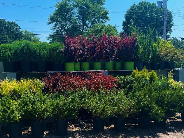 Saint Louis Lawn Care