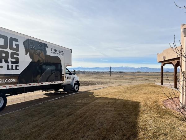 Big Dog Movers