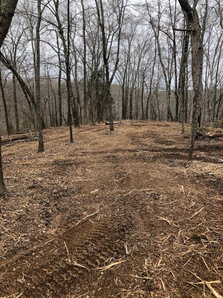 McRae's Land Clearing