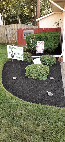 Lovely Lawn Care Co.