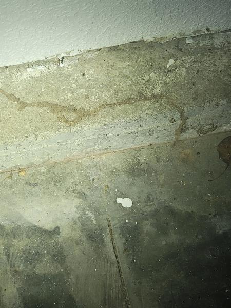 KC Pest Experts