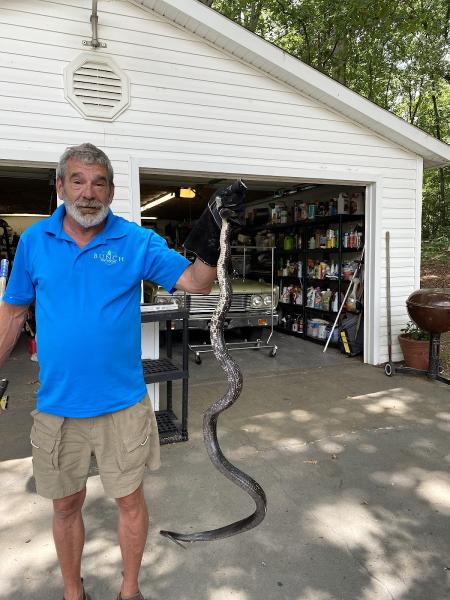 Bunch Pest Control