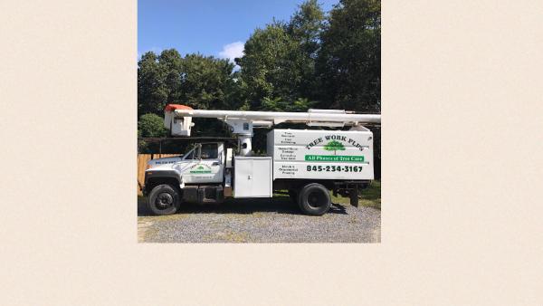 Tree Work Plus