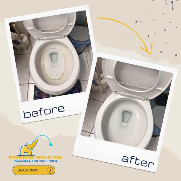 Scrubberr Eco-Clean