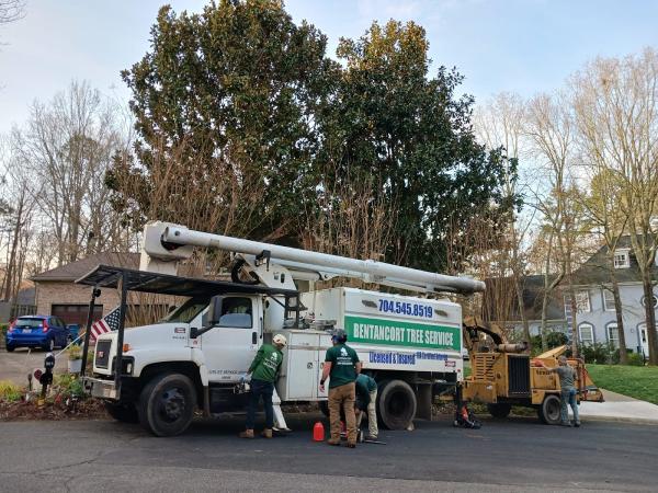 Bentancort Tree Service