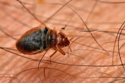 Esparza Pest Control Inc.