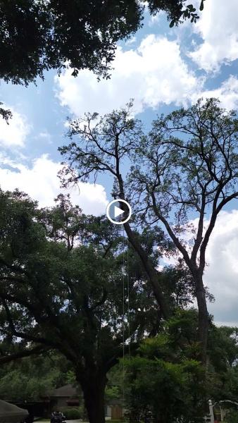 Advanced Landscape Solutions