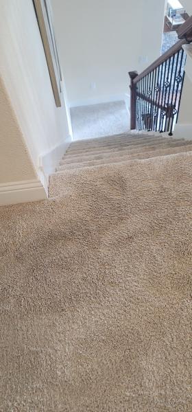 Dons Carpet Cleaning