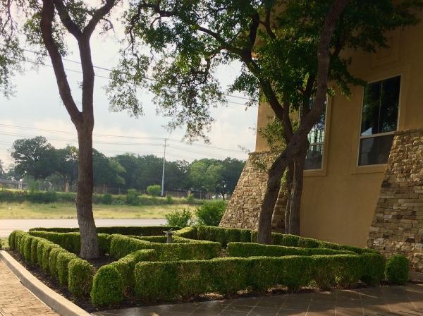 Texas Two Step Lawn Care
