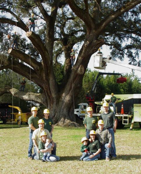 Dowling Tree Service