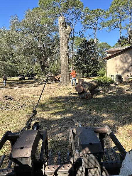 Dowling Tree Service