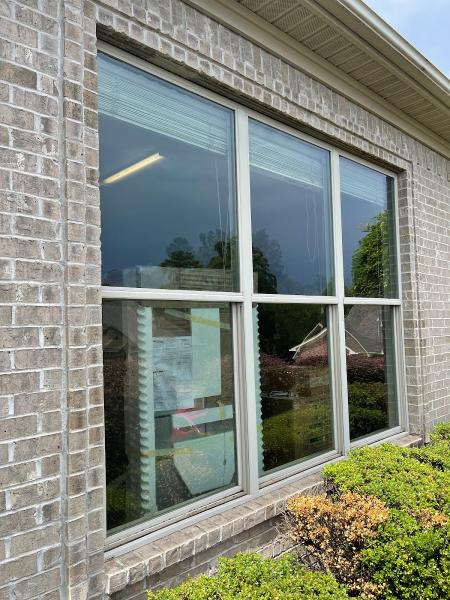 Pro Window Cleaning