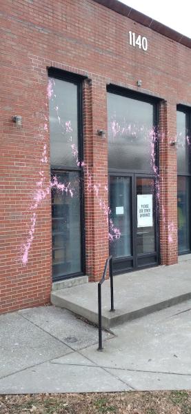 Pro Window Cleaning
