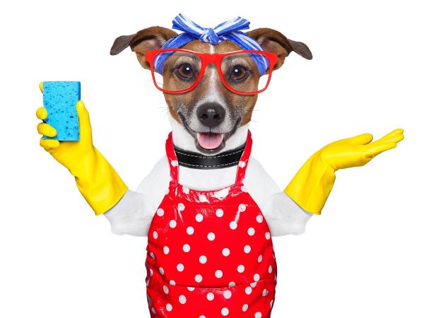 Kat's Cleaning Services. LLC