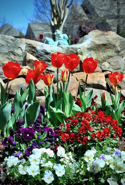 Felicity's Flowers Landscape Design & Installation