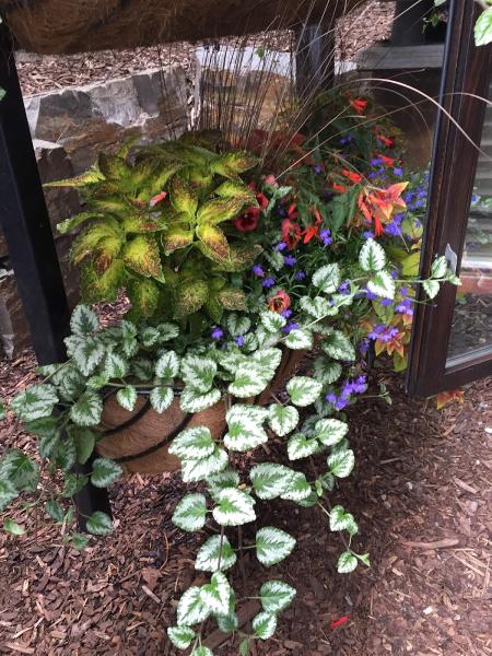 King's Landscaping
