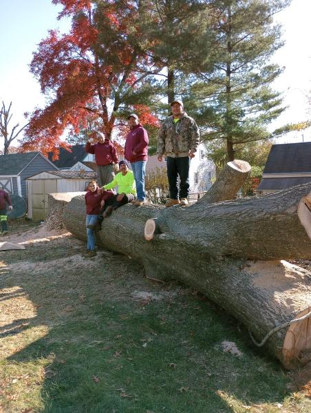 O & O Tree Service Experts. LLC
