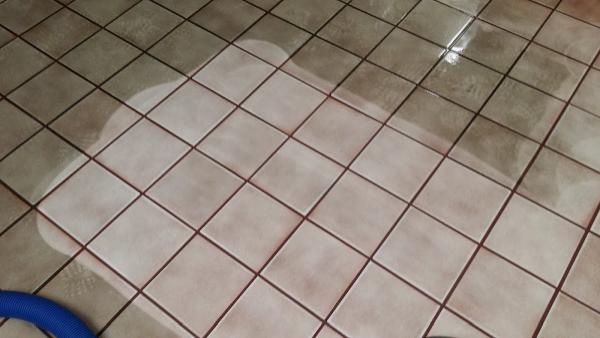 Ultimate Green Cleaning Services