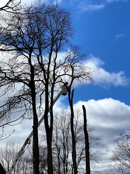 Treeworks
