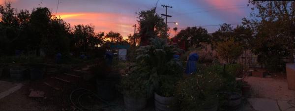 Middlebrook Gardens