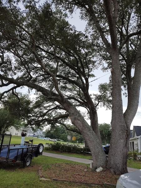 AJM Tractor and Tree Service