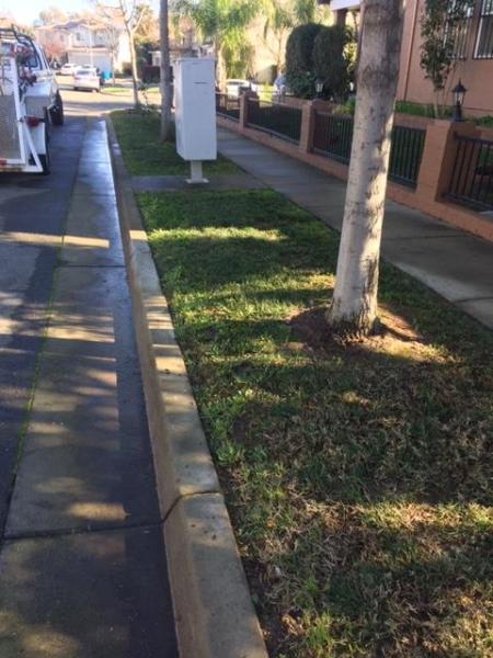 Cutting Edge Yard Care