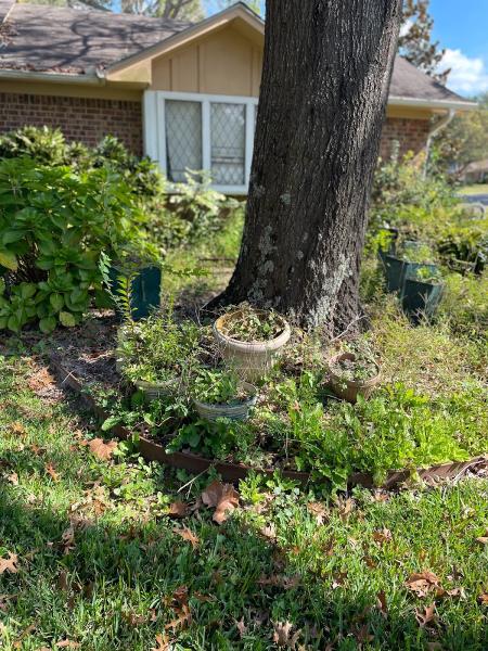 Baker Brothers Lawn Care