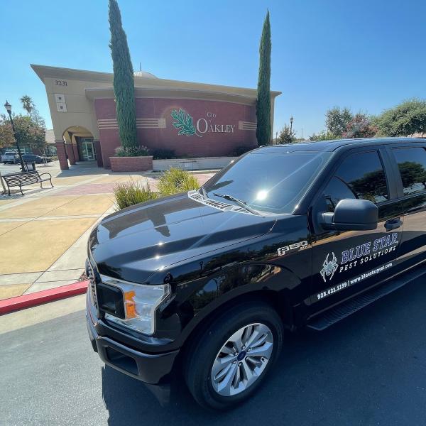Blue Star Pest Solutions