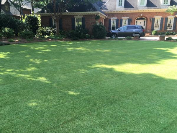 Details Lawn Care LLC
