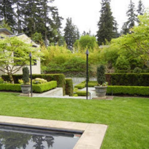 Native Green Landscapes