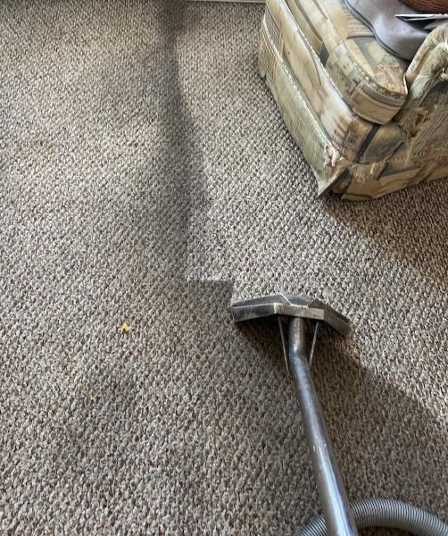Rug Pro