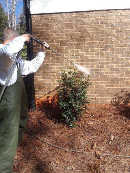 Whistle Clean Power Washing: Whistlecleanpowerwash.com