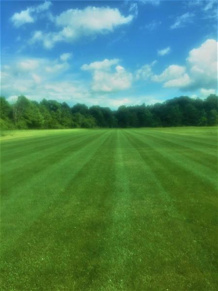 Praznik's Property Maintenance