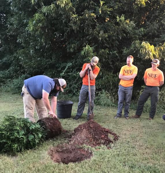 New Urban Forestry