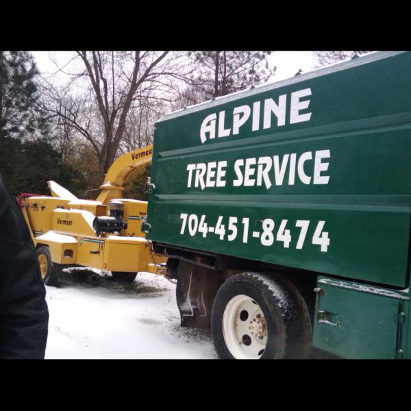 Alpine Tree Service