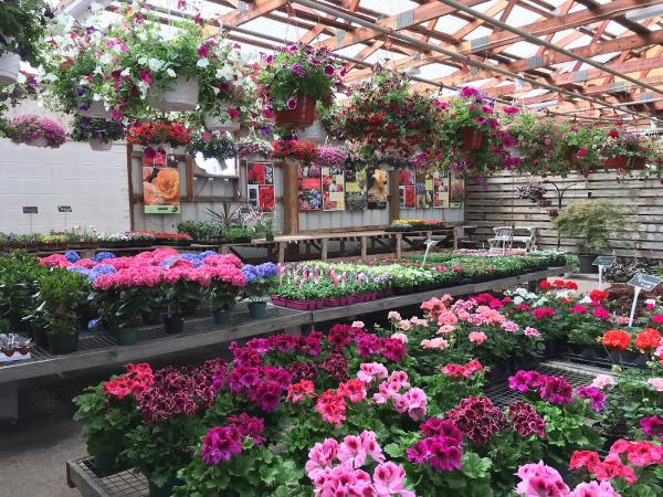 Wayside Nursery