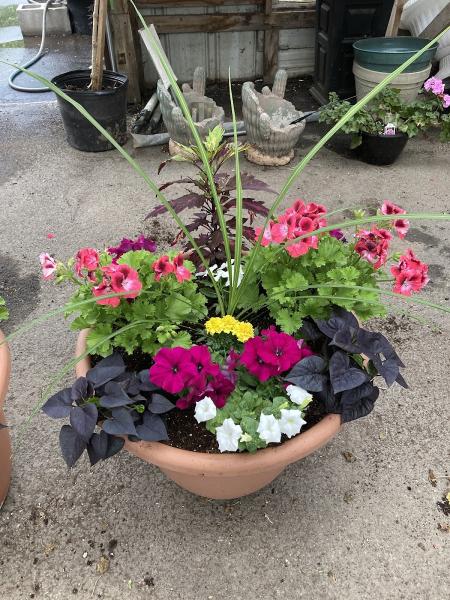 Wayside Nursery