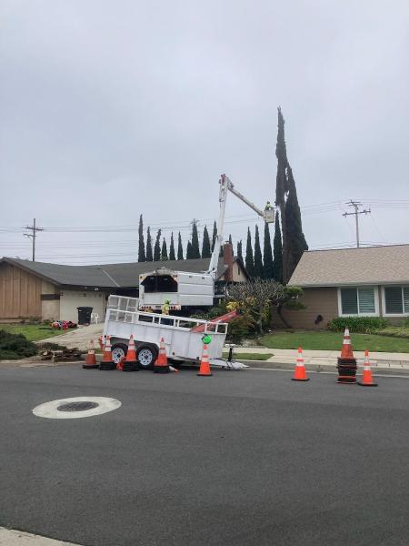 A & S Tree Service