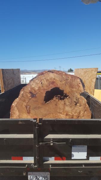 Roy Tree Service Canyon Country