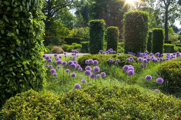 Jones Tree & Plant Care