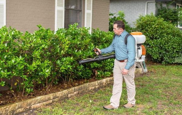 Pestmaster