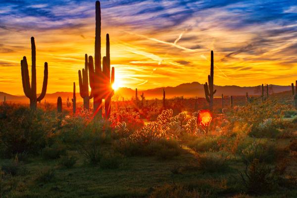 Mountain States Inspections